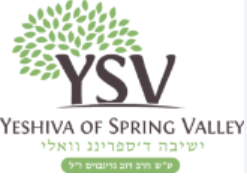 YSV Girls Grade 4